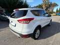 Ford Kuga Kuga II 2013 2.0 tdci Titanium 4wd s Bianco - thumbnail 5