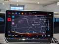 Volkswagen Passat Variant 1,5 eTSI DSG Business AHK+NAVI+APP Grau - thumbnail 11