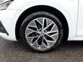 Skoda Octavia Combi TOUR 2,0 TDI DSG *MATRIX-LED / 17 ZOLL / VIRTUELL / NAVI / AHV / ACC / KEYLESS / SHZG VO & HI* Weiß - thumbnail 17