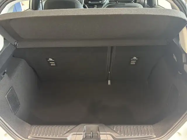 Ford Fiesta view 17