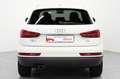 Audi Q3 2.0 TDI Business Bianco - thumbnail 4