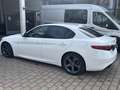 Alfa Romeo Giulia Super Wit - thumbnail 6