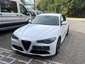 Alfa Romeo Giulia Super Weiß - thumbnail 3