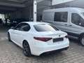 Alfa Romeo Giulia Super Wit - thumbnail 7