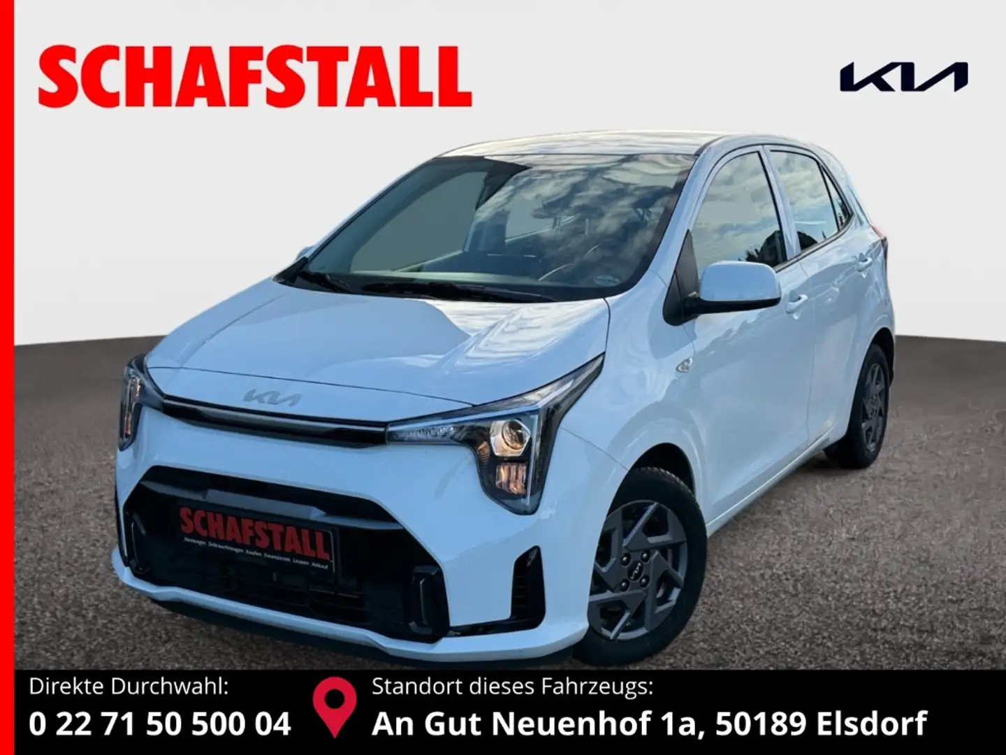 Kia Picanto 1.0 Vision Allwetter Navi Kamera SHZ LenkradHZG Weiß - 1