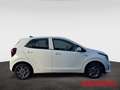 Kia Picanto 1.0 Vision Allwetter Navi Kamera SHZ LenkradHZG Weiß - thumbnail 7