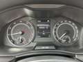 Skoda Kamiq 1.0 TSI Ambition / 6.500 KM/ 110 PK/ SMARTLINK/ CR Blauw - thumbnail 12