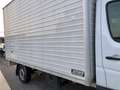 Mercedes-Benz Sprinter F43L/35 314 CDI SL-TA Furgone Executive Bianco - thumbnail 9