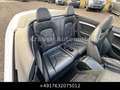 Audi S5 Cabrio 3.0 TFSI S-Sitze Mem Keyl Led Facelift Blanc - thumbnail 30