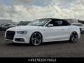 Audi S5 Cabrio 3.0 TFSI S-Sitze Mem Keyl Led Facelift Blanc - thumbnail 5