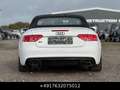 Audi S5 Cabrio 3.0 TFSI S-Sitze Mem Keyl Led Facelift Blanc - thumbnail 21