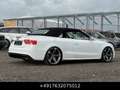 Audi S5 Cabrio 3.0 TFSI S-Sitze Mem Keyl Led Facelift Blanc - thumbnail 17