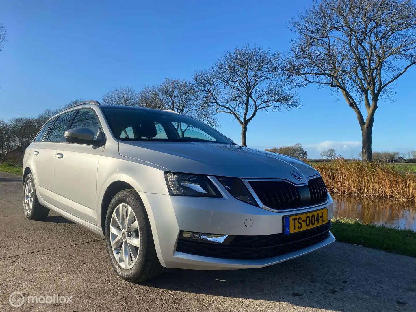 Skoda Octavia Combi 1.0 TSI Greentech Ambition /2018/145 dkm Grijs - 2