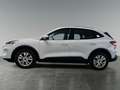 Ford Kuga Cool & Connect Weiß - thumbnail 3