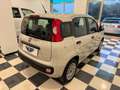 Fiat Panda Panda 1.2 Easy Beige - thumbnail 3