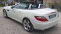 Mercedes-Benz SLK 250 cdi (be) Sport MOTORE NUOVO - thumbnail 3