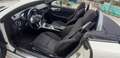 Mercedes-Benz SLK 250 cdi (be) Sport MOTORE NUOVO - thumbnail 6