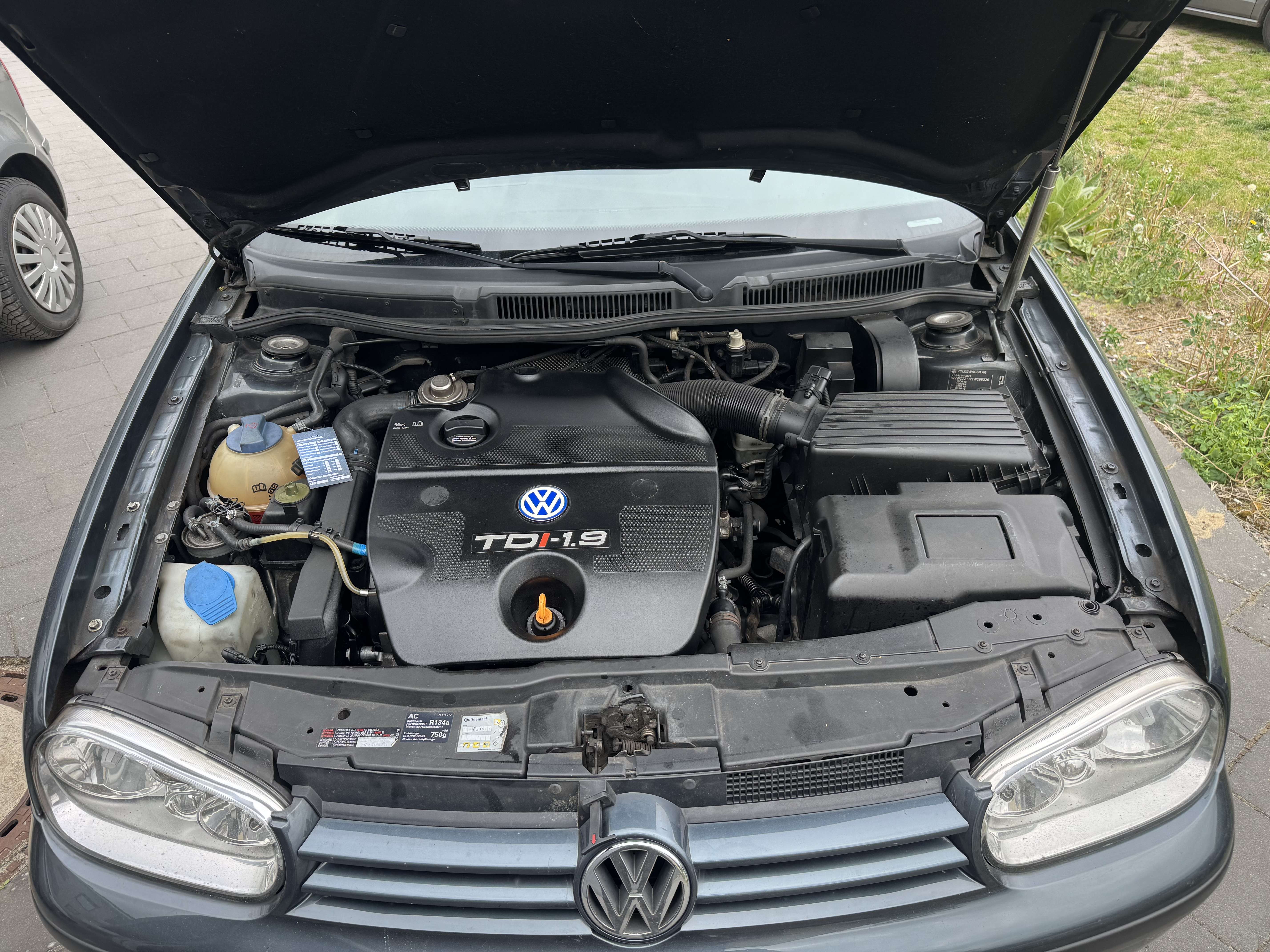 Second hand Volkswagen Golf 1.9