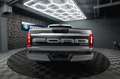 Ford F 150 F150 5.0L V8 4x4 Offroad SuperCrew RAPTOR 19% Silber - thumbnail 23