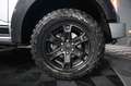 Ford F 150 F150 5.0L V8 4x4 Offroad SuperCrew RAPTOR 19% Silber - thumbnail 18