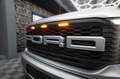 Ford F 150 F150 5.0L V8 4x4 Offroad SuperCrew RAPTOR 19% Silber - thumbnail 3