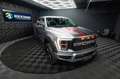 Ford F 150 F150 5.0L V8 4x4 Offroad SuperCrew RAPTOR 19% Silber - thumbnail 11