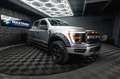 Ford F 150 F150 5.0L V8 4x4 Offroad SuperCrew RAPTOR 19% Silber - thumbnail 13
