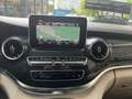 Mercedes-Benz Marco Polo Marco Polo 220 d lang 4MATIC Aut. Grau - thumbnail 20
