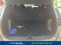 Ford Kuga ST-Line 2.5 FHEV ** AHK, WINTER-PAKET *** EcoBoost Plateado - thumbnail 16