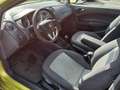 SEAT Ibiza Style 1.2 TSI*AHK*SHZ*Cimatronic* Grün - thumbnail 9