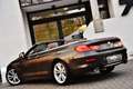 BMW 640 I CABRIOLET ***BELGIAN CAR / FULL HISTORY*** Brun - thumbnail 9
