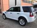 Land Rover Freelander SD4 Aut. SE - thumbnail 12