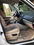 Land Rover Freelander SD4 Aut. SE - thumbnail 13