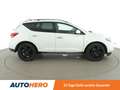 Nissan Murano 2.5 dCi Executive Aut.*NAVI*CAM*SHZ*PANO* Blanc - thumbnail 7