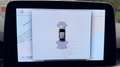 Ford Kuga Kuga 1.5 EcoBlue 120 CV 2WD Titanium Gris - thumbnail 20