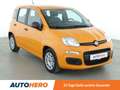 Fiat Panda 1.0 Mild-Hybrid*AHK*KLIMA*WENIG-KM*GARANTIE* Orange - thumbnail 8