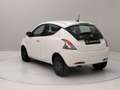 Lancia Ypsilon Ypsilon 1.0 firefly hybrid Gold s *PROMO OUTLET* Weiß - thumbnail 3