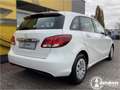 Mercedes-Benz B 180 KLIMA SHZ RÜCKFAHRKAMERA FACELIFT Blanc - thumbnail 4