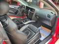 Audi A5 3.0 TDI quattro DPF Rojo - thumbnail 13