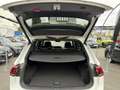 Volkswagen Tiguan Allspace 1.5 TSI ACT R-Line ACC AHK LED PDC Kamera Pano ... Weiß - thumbnail 37