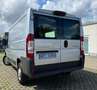 Peugeot Boxer Kasten L2H1 Tempomat/AHK/Kamera/1HAND Gris - thumbnail 5