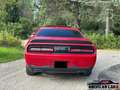 Dodge Challenger 2015 R/T%2B V8 5.7 Rojo - thumbnail 4
