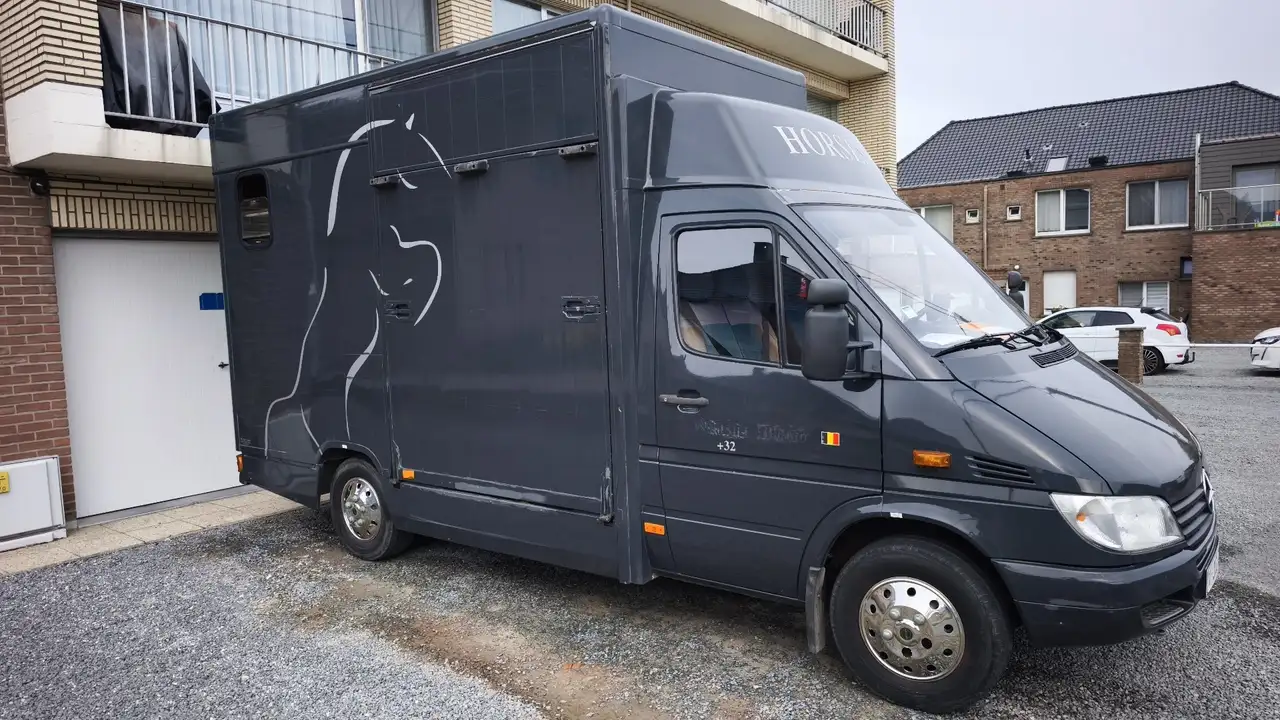 Mercedes-Benz Sprinter 2.9 DB, foto 3