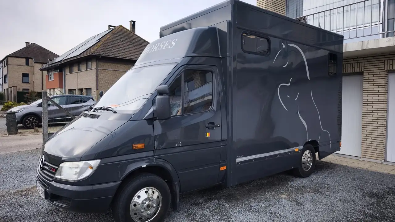 Mercedes-Benz Sprinter 2.9 DB, foto 1