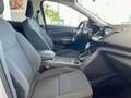 Ford Kuga Kuga 1.5 tdci Titanium Business s Argento - thumbnail 5