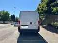 Fiat Ducato 33 LH2 2.2 Mjt3 140CV E6D-fin Bianco - thumbnail 4