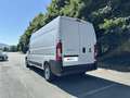 Fiat Ducato 33 LH2 2.2 Mjt3 140CV E6D-fin Bianco - thumbnail 3