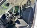 Fiat Ducato 33 LH2 2.2 Mjt3 140CV E6D-fin Bianco - thumbnail 9