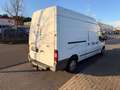 Ford Transit Kasten FT 300 L *LKW*AHK*Freisprech*M+S* Weiß - thumbnail 8