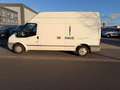 Ford Transit Kasten FT 300 L *LKW*AHK*Freisprech*M+S* Weiß - thumbnail 4